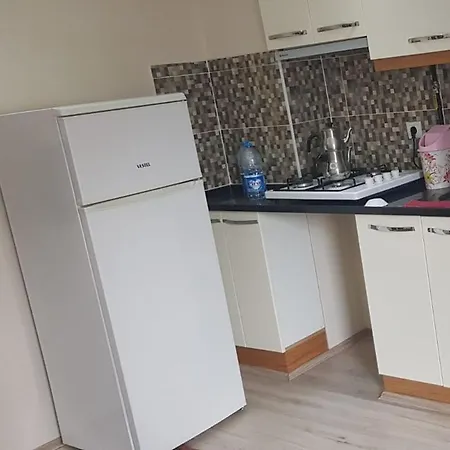 Ekmekci Apart *